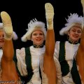 20150207_203020_SA-FaschingWoelf-x